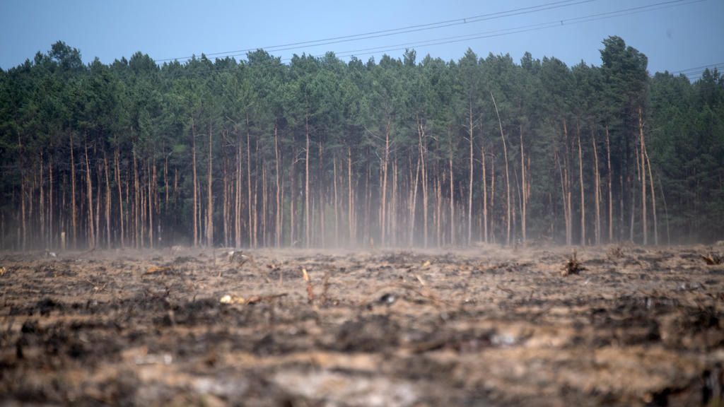 23.04.2019, Brandenburg, Fichtenwalde: Staub zieht über eine vertrocknete ehemalige Waldfläche an der Autobahn A9, die bei einem Feuer 2018 abgebrannt war. Die Waldbrandgefahr in Brandenburg bleibt sehr hoch. Das liegt auch am starken Wind, der Feuer