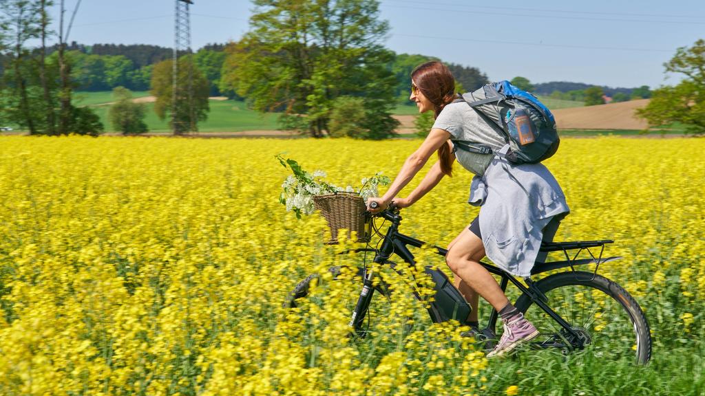 Vor allem auf hochwertige Bikes haben es Fahrraddiebe abgesehen