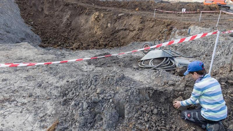 In der Tongrube Groß Pampau entdeckte ein ehrenamtliches Grabungsteam Reste eines rund elf Millionen Jahre alten Riesenhais. Foto: Markus Scholz