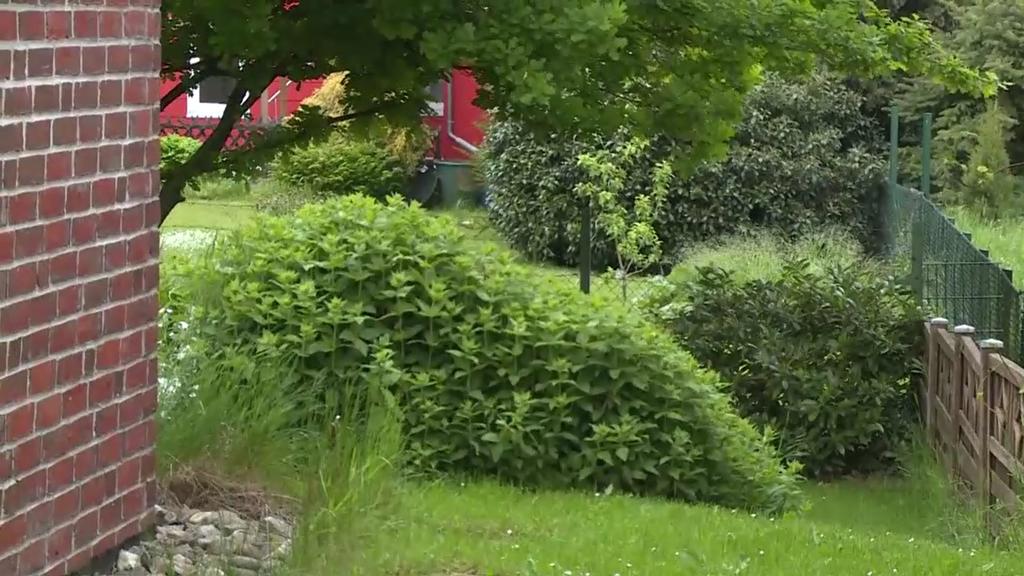 Niedersachsen Nachbarn Trauern Nach Gartenteich Drama Um Tote