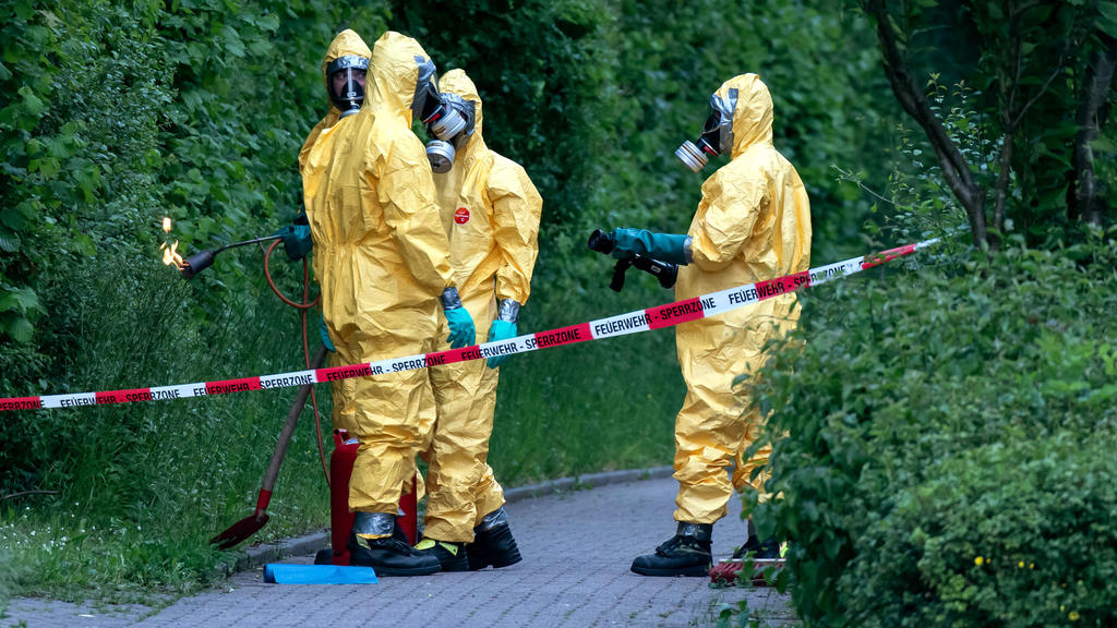 26.05.2019, Nordrhein-Westfalen, Iserlohn: Feuerwehrleute sind mit Gasbrennern im Einsatz. Raupen des Eichenprozessionsspinners haben in Iserlohn für eine Straßensperrung gesorgt. Foto: Markus Klümper/visual inform/dpa +++ dpa-Bildfunk +++