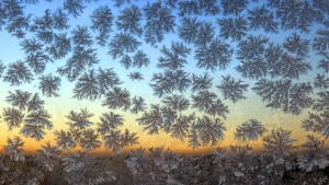 Mit Eisblumen bedeckt ist eine Fensterscheibe am Freitag (21.12.2007) kurz vor Sonnenaufgang bei Ruderatshofen (Schwaben). Nebel und Frost in den Niederungen, sowie Sonne und mildere Temperaturen in den höheren Lagen, bestimmen weiterhin das Wetter i