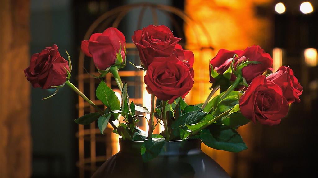 Halbzeit: 10 Kandidaten kämpfen noch um das Herz von Bachelorette Gerda Lewis. Wer wird weitere Rosen bekommen?