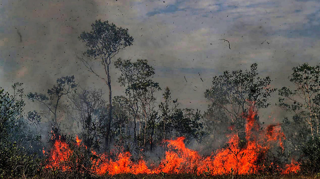 27.08.2019, Brasilien, ---: Feuer breitet sich in einem Waldstück aus. In Südamerika wüten derzeit schwere Waldbrände. Durch Brandrodung und Abholzung vernichtet der Mensch seit Jahrtausenden die Waldbestände - nicht zuletzt in Europa. In vielen Erdr