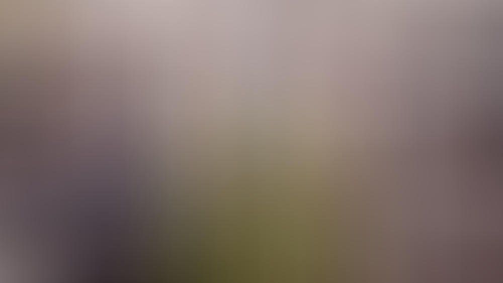 Wie oft denken die Fantastischen Vier ans Aufhören?