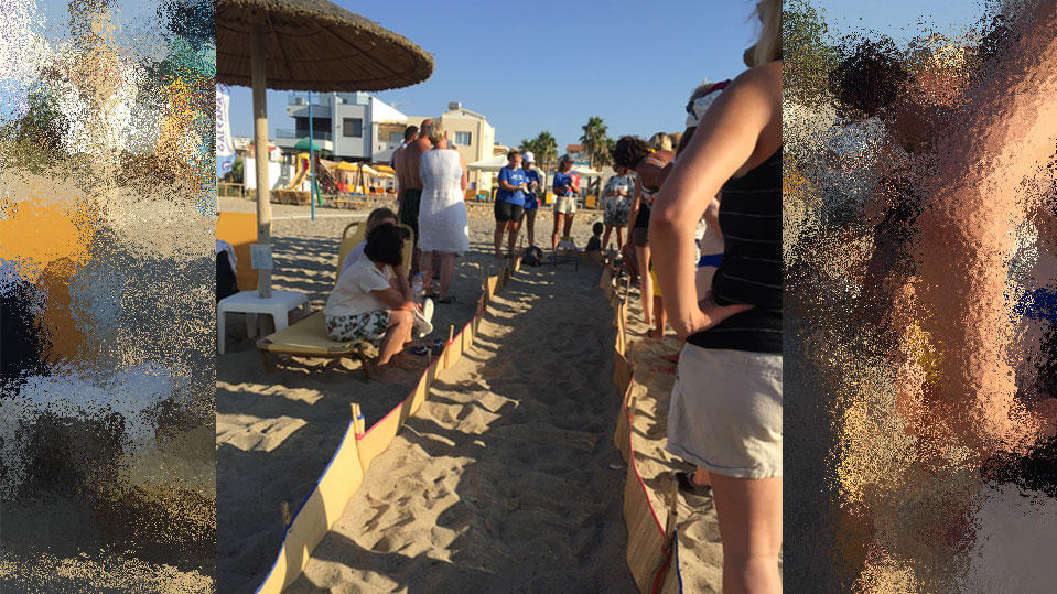 Meeresschildkröten auf Kreta