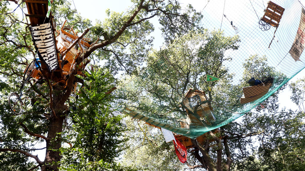 Baumhäuser im Hambacher Forst