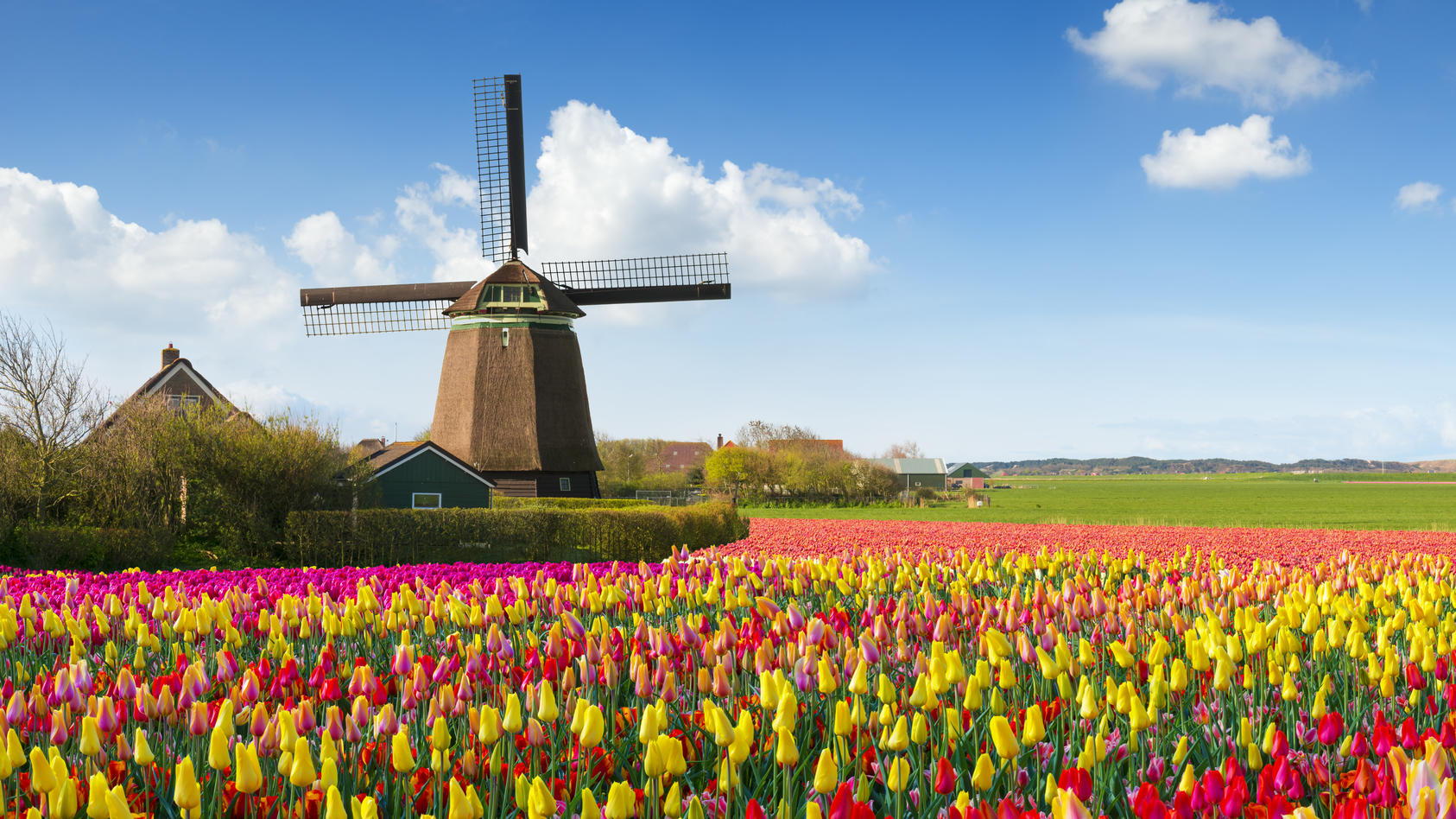 yacht kaufen niederlande