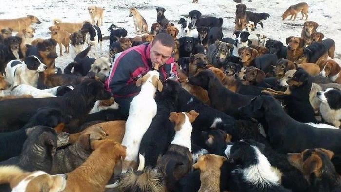1.200 Hunde hat Sasha gerettet und aufgenommen.