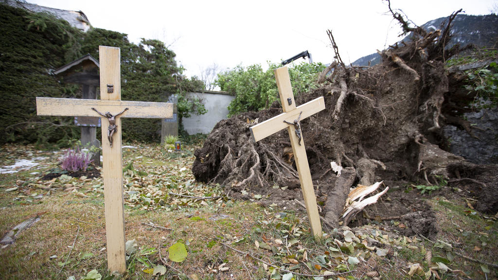 15.11.2019, Bayern, Garmisch-Partenkirchen: Umgestürzte Bäume liegen auf dem Friedhof im Ortsteil Partenkirchen. Ein Föhnsturm hatte am Morgen im Landkreis für Schäden gesorgt, auch Bahnlinien mussten gesperrt werden. Foto: Josef Hornsteiner/dpa +++