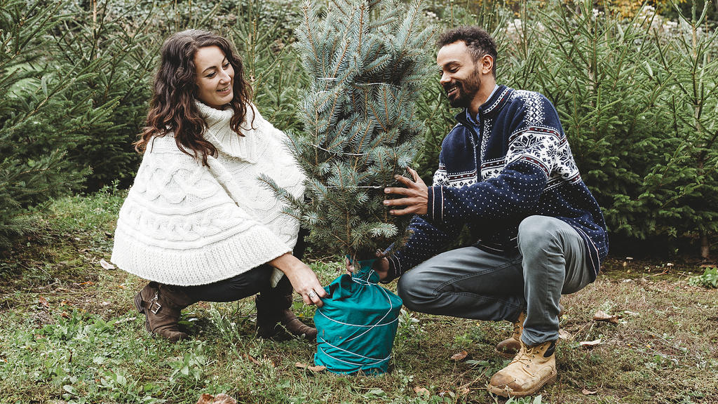 Ein Weihnachtsbaum mit Ballen