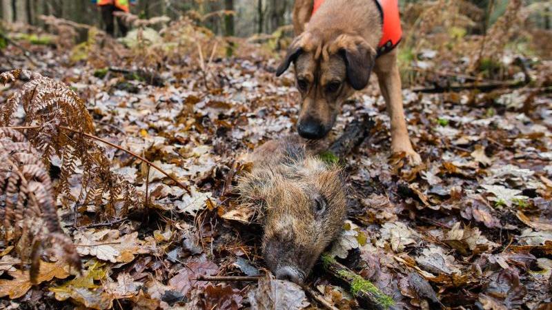 Veranstaltungen für singles xanten Veranstaltungen für singles xanten