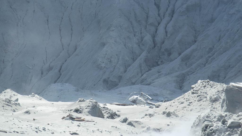 Der Vulkanausbruch hat die Landschaft mit Asche bedeckt