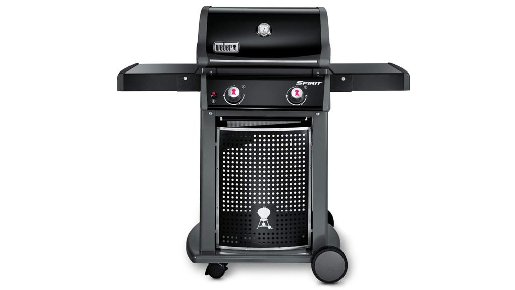 Weber Grill