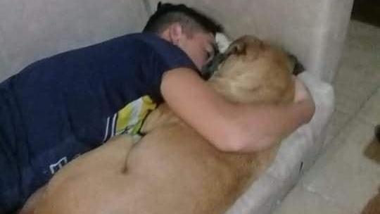 Sein Herrschen versucht den Hund durch Umarmung zu retten.