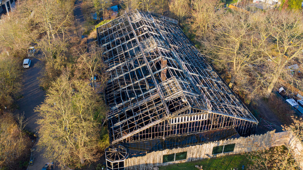 Brand im Krefelder Zoo