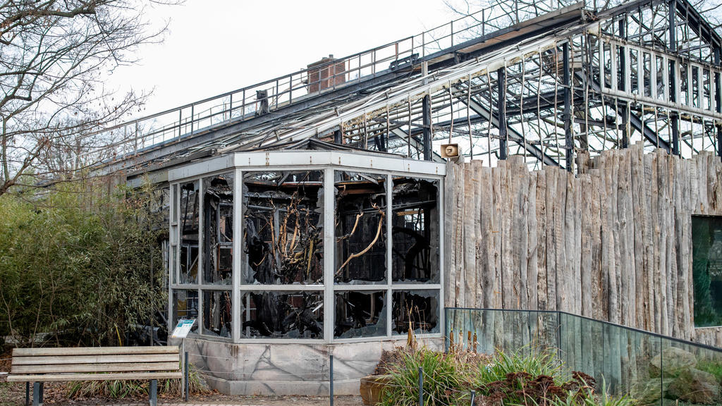 02.01.2020, Nordrhein-Westfalen, Krefeld: Das abgebrannte Affenhaus des Krefelder Zoos. Nach dem Brand des Affenhauses im Zoo mit vielen toten Tieren gibt es laut Ermittlern Hinweise auf sogenannte chinesische Himmelslaternen als Brandursache. Foto: