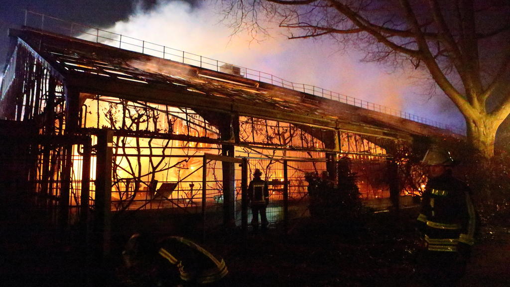 Brand im Krefelder Zoo