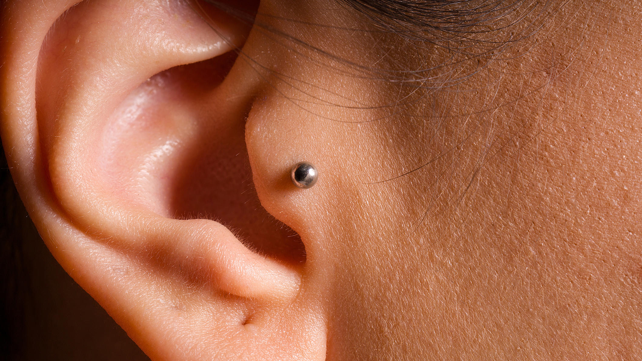 Gesundheitslexikon Tragus