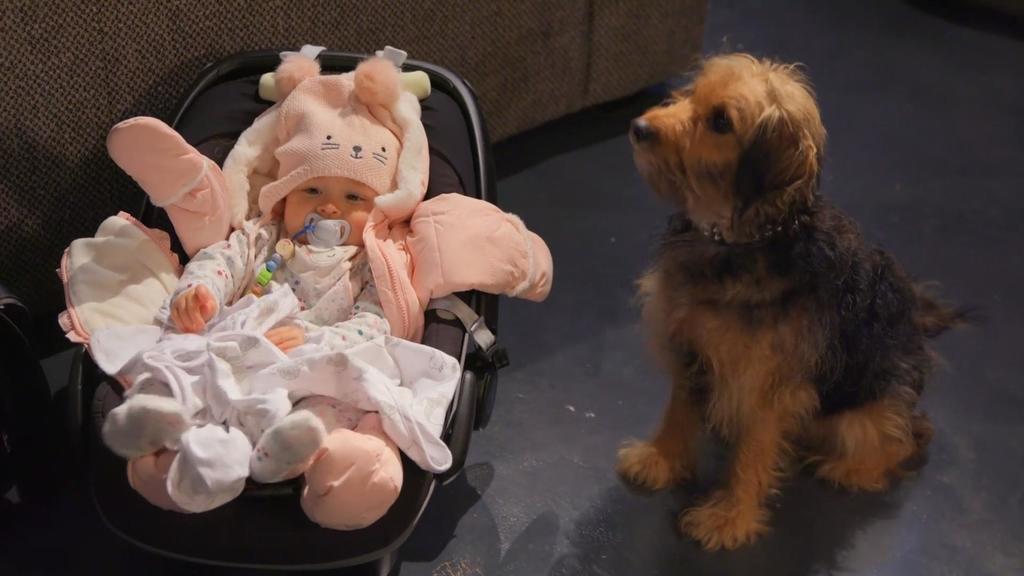 Dieses Baby liegt plötzlich vor der Tür von Tobias & Co.