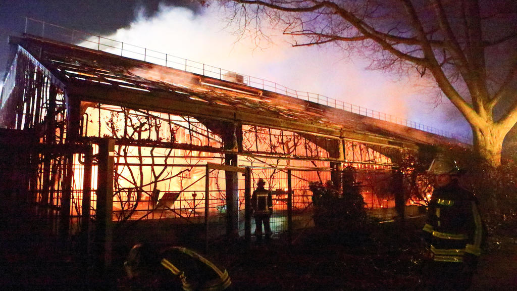 ARCHIV - 01.01.2020, Nordrhein-Westfalen, Krefeld: Feuerwehrleute stehen nach Löscharbeiten vor dem Affenhaus im Krefelder Zoo. Nach dem Brand im Krefelder Zoo in der Nacht zu Neujahr ist es zu bisher unbekannten, dramatischen Szenen gekommen: Ein sc