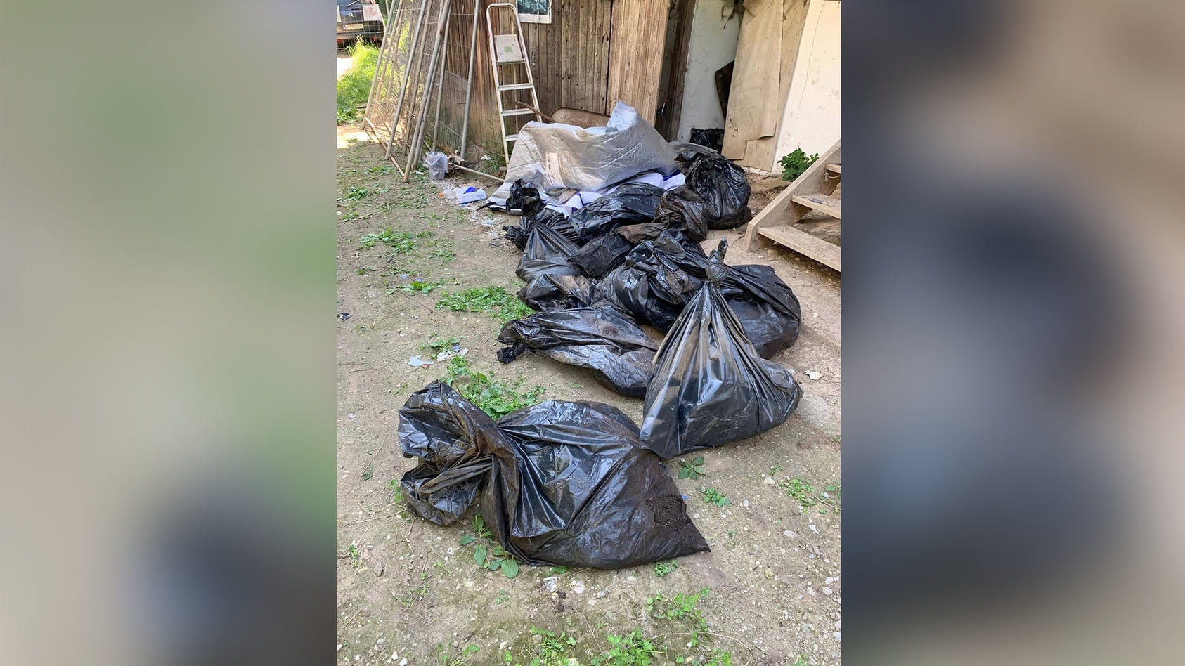 Kärnten 35 tote Hunde in Müllsäcken gefunden Tierschützer warnten