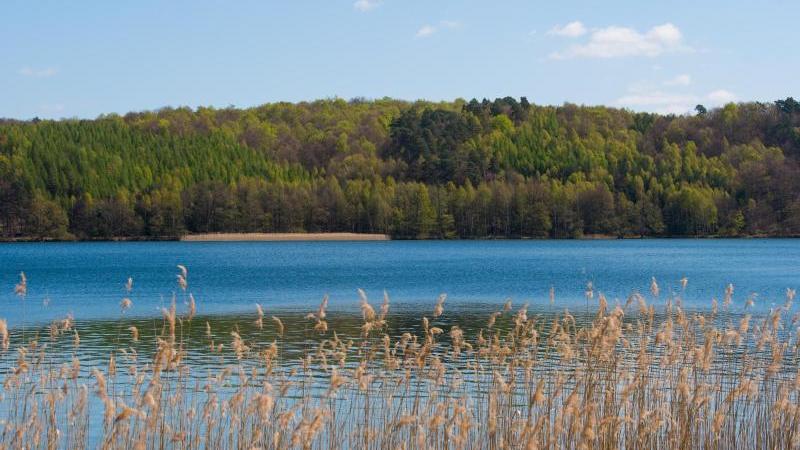 Werbellinsee