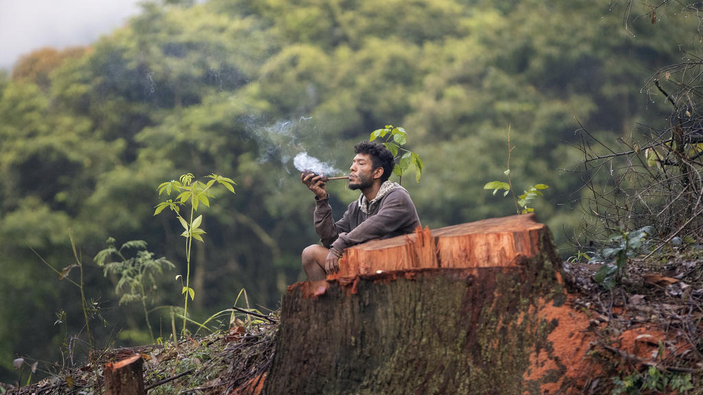 06.02.2020, Brasilien, Sao Paulo: Ein Mann des Stammes Guarani Mbya raucht eine Pfeife neben einem gefällten Baum. Dort besetzte eine Gruppe Indigener ein Grundstück als Protest gegen den Immobilienentwickler Tenda, der plant, neben dem Land einer in