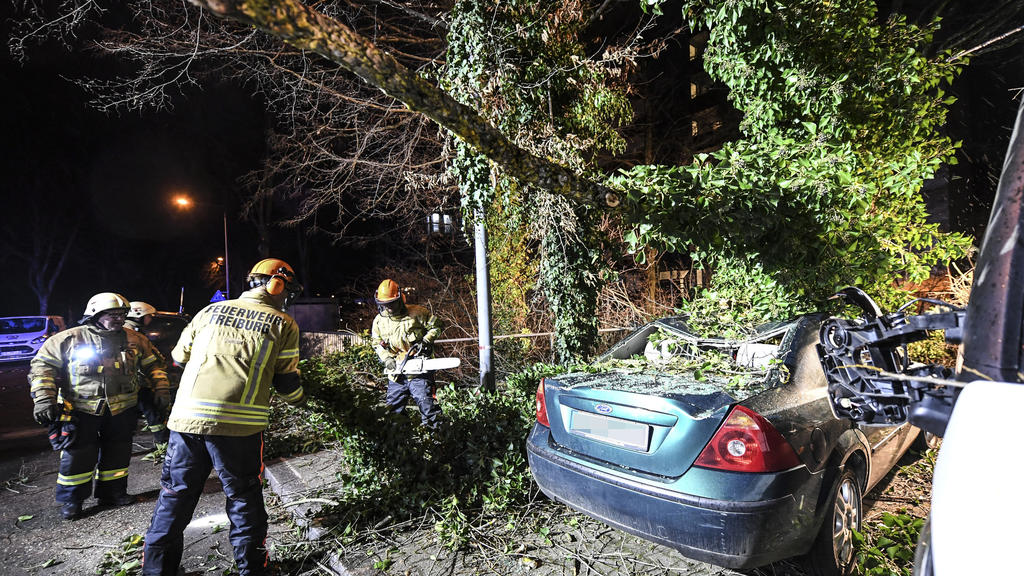 10.02.2020, Baden-Württemberg, Freiburg: Ein Baum ist durch Orkanböen des Sturmtiefs "Sabine" auf ein Auto gestürzt. Es hat in Deutschland für zahlreiche Schäden gesorgt. Foto: Patrick Seeger/dpa +++ dpa-Bildfunk +++