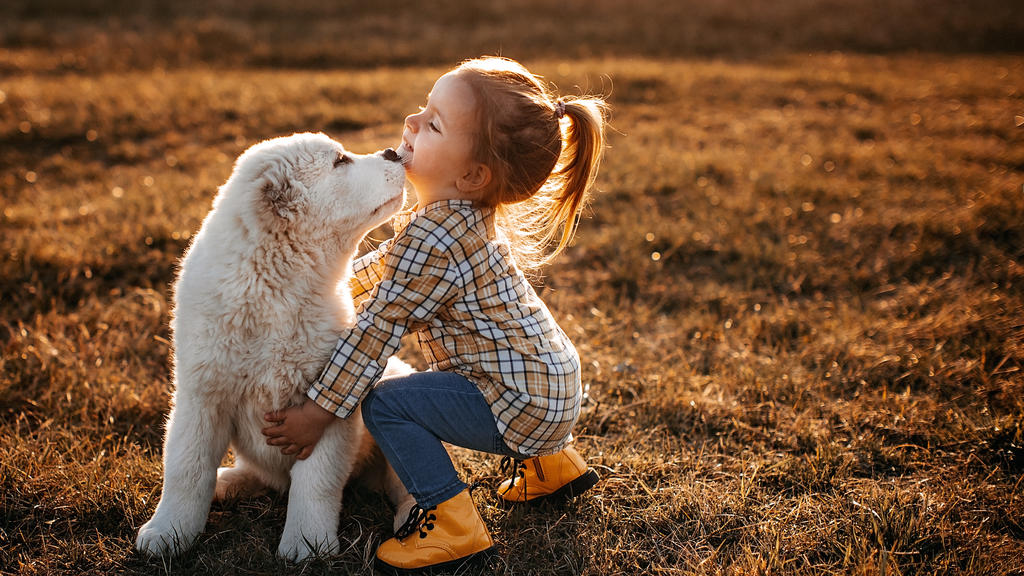 Körperkontakt ist für Hunde vielmehr als nur Berührung und stellt einen weiteren Kommunikationskanal dar.