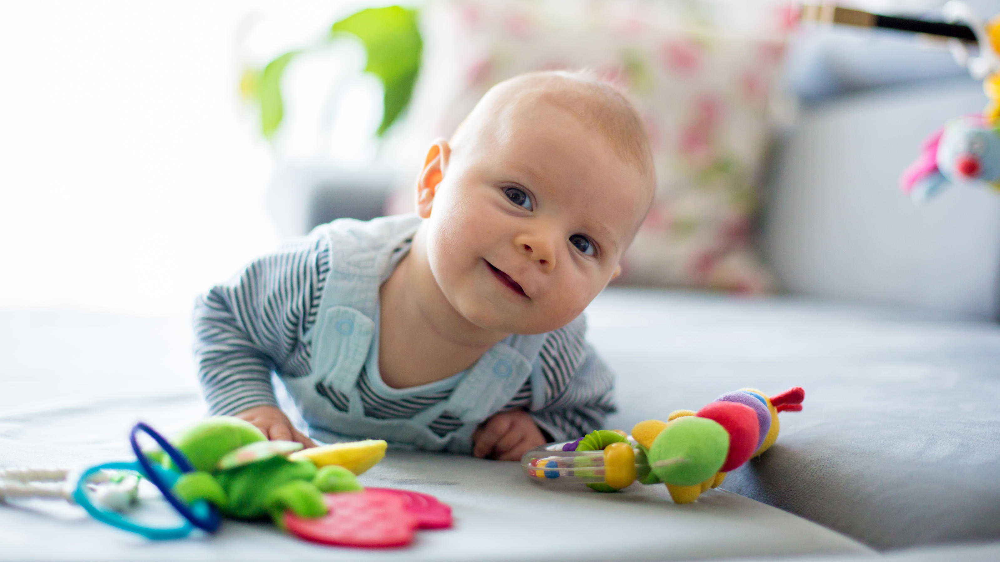 Robben Lernen Wie Das Baby Beginnt Die Welt Zu Entdecken