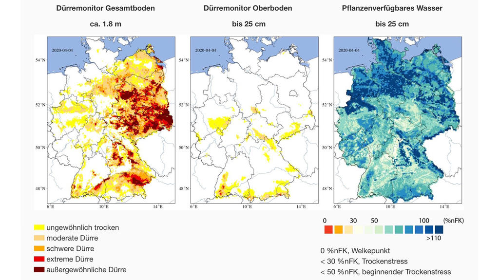 Die obere Bodenschicht hat noch genug Feuchtigkeit für die Pflanzen. Jetzt noch! Die bedrohliche Trockenheit liegt tiefer.