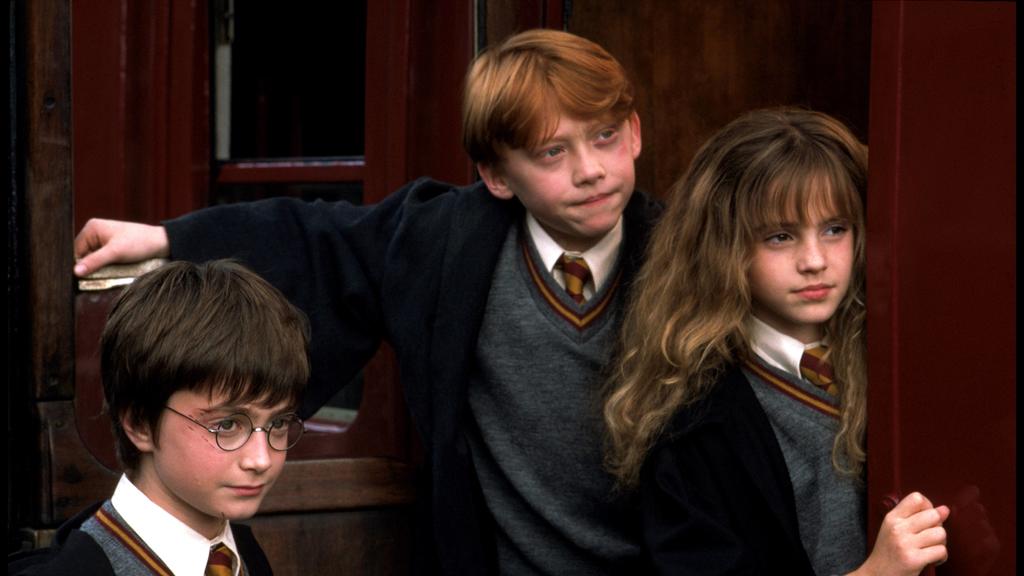 Von Harry Potter gibt es acht Filme.