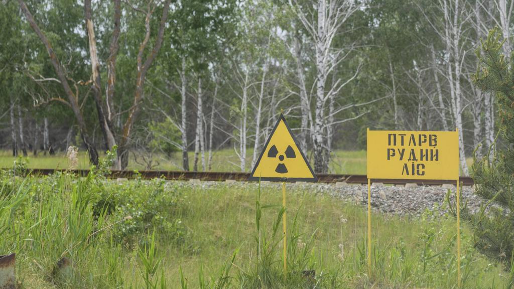 warning sign to radioactivity, view to Red Forest is the 10-square-kilometer 4 sq mi area surrounding the Chernobyl Nuclear Power Plant within the Exclusion Zone Pripyat Prypiat Kiev Oblast Ukraine Chernobyl Chornobyl Exclusion