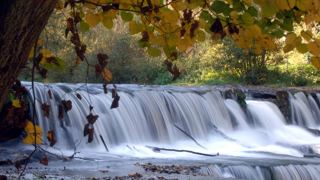 Wie ein Milchbach fließt am Freitag (14.10.2005) das Wasser des Flüsschens Schwarza über ein Wehr bei Bad Blankenburg. Das rund 53 Kilometer lange Schwarzatal erstreckt sich am Nordrand des Thüringer Schiefergebirges. Es ist Bestandteil des Naturpark