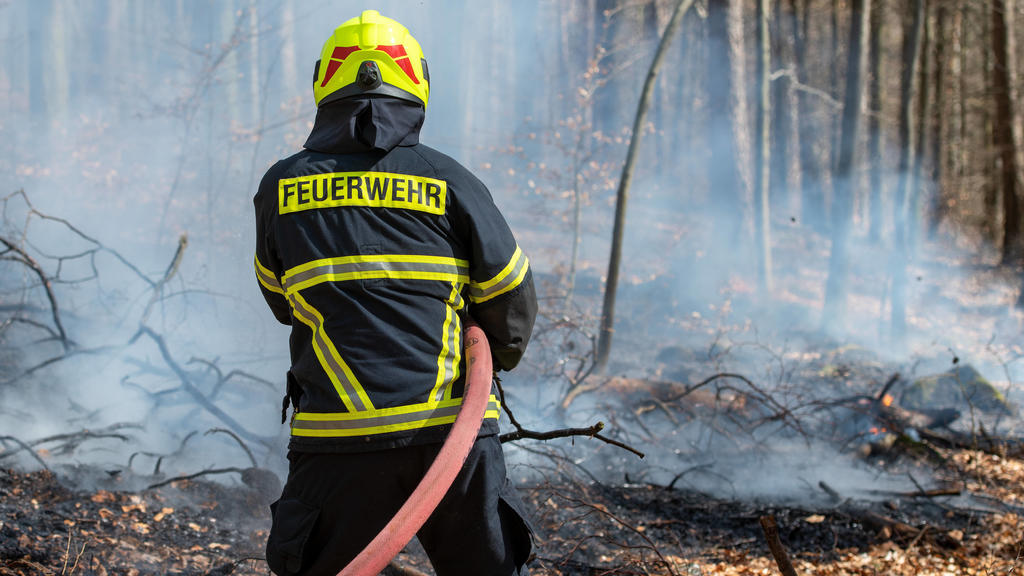 Waldbrandgefahr, 05.04.2020, im Rochlitzer Bergwald kommt es an einem Wanderweg zu einem kleinen Waldbrand. Auf einer Fläche von etwa einem Hektar brennt trockenes Laub und Holz. Rochlitz Sachsen Deutschland *** Forest fire hazard, 05 04 2020, a sma