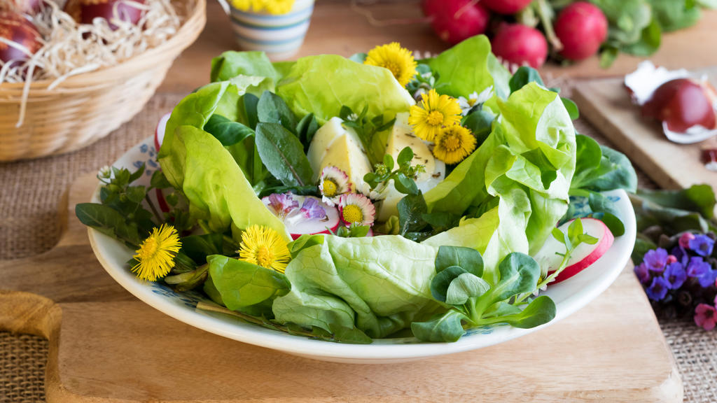 Gänseblümchensalat
