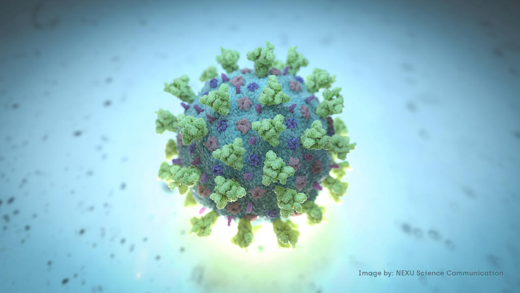 Das Coronavirus hält seit seiner Entdeckung die Welt in Atem. China soll der WHO anfangs verschwiegen haben, dass es Infektionen gab.