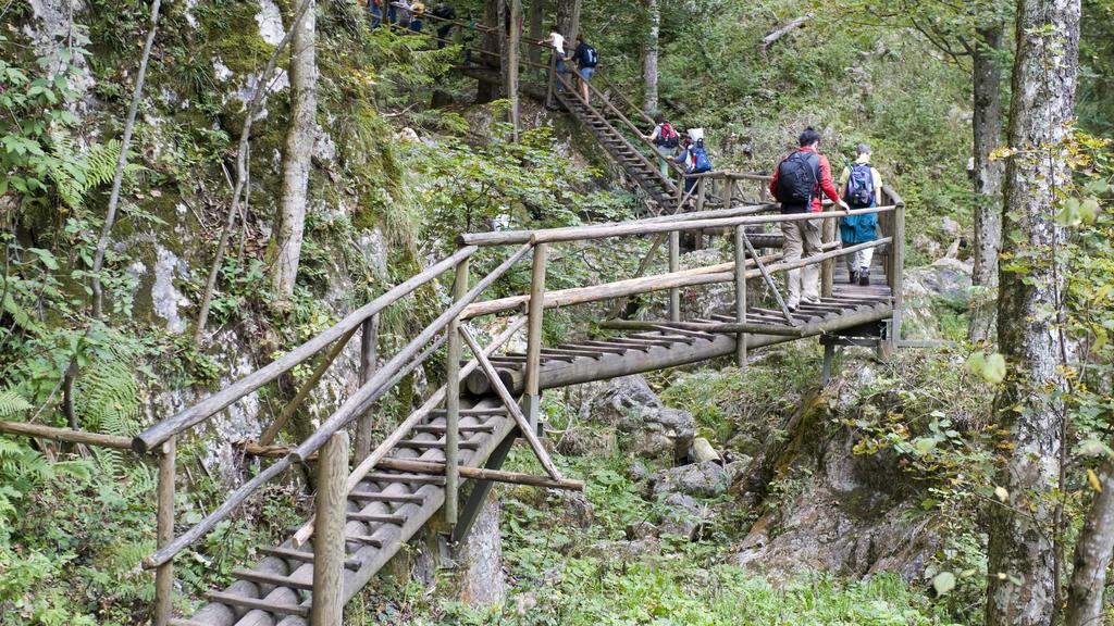 Bärenschützklamm, Grazer Bergland, Steiermark, Österreich - Bärenschützklamm, Styria, Austria BLWX100594 Copyright: xblickwinkel/McPhotox/FotoxBegsteigerx