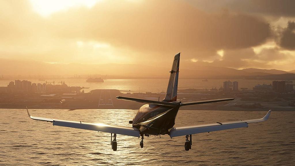 "Microsoft Flight Simulator 2020"