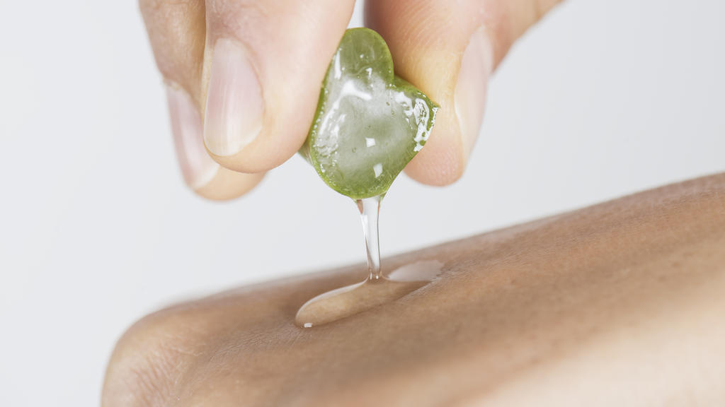 Aloe Vera