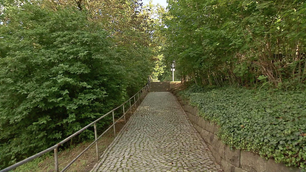 Weg im Schlosspark