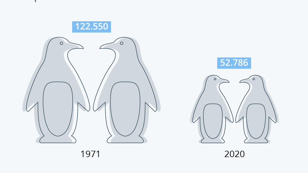 zuegelpinguine statistik