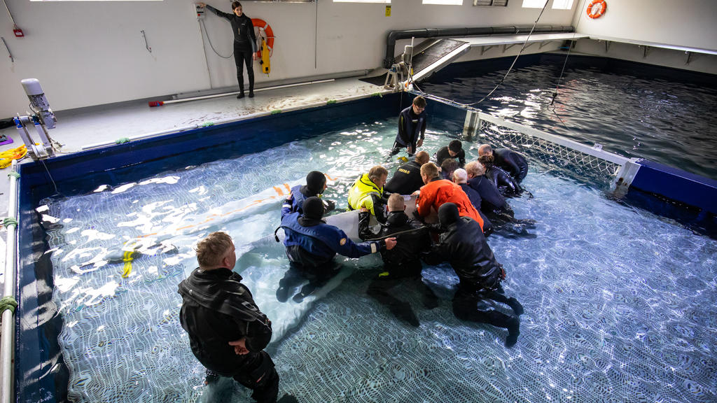 10.08.2020, Island, Westman Islands: Mitarbeiter der Umweltorganisation "Sea Life Trust" machen einen Belugawal für einen Umzug in ein neues Freiwasserschutzgebiet fertig. Zwei Beluga-Wale mit den Namen Kleiner Grauwal und Kleiner Weißwal werden in d