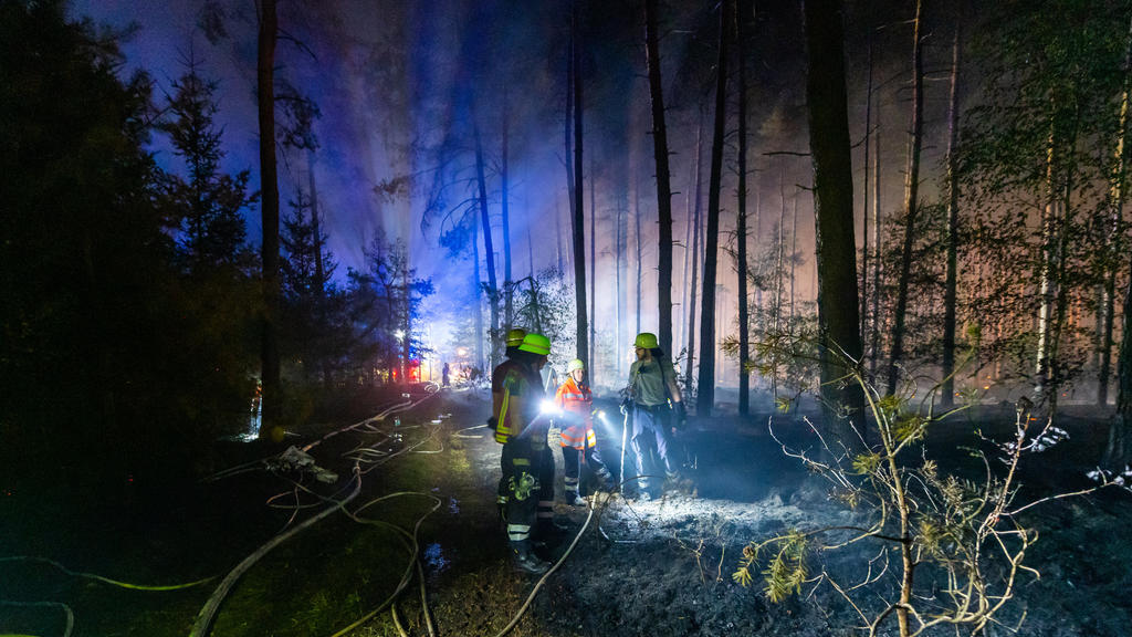 dpatopbilder - 12.08.2020, Niedersachsen, Essel: Einsatzkräfte der Feuerwehr führen Nachlöscharbeiten in einem Waldstück durch. Wegen eines großflächigen Brandes im Heidekreis ist das Wochenendgebiet Esseler Wald am Mittwochabend nach Polizeiangaben