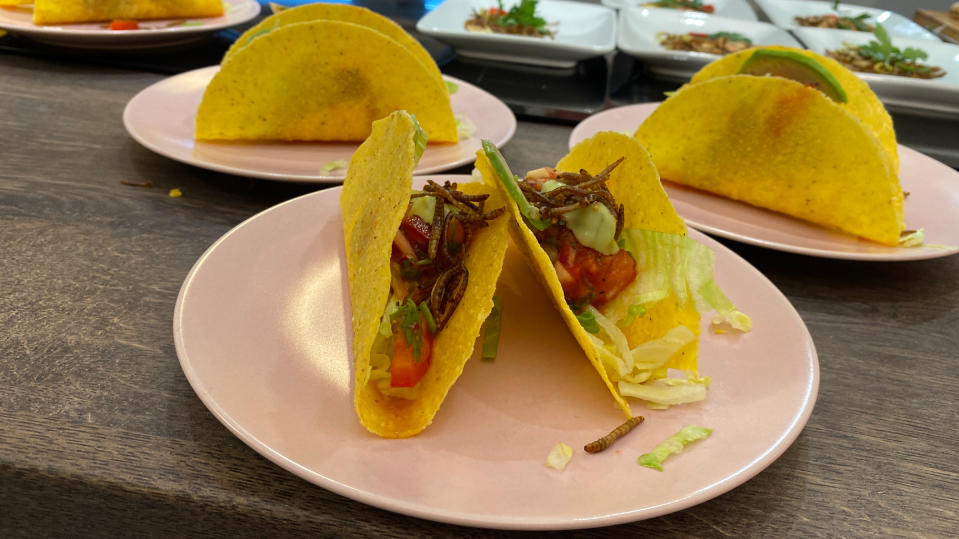 Tacos mit Mehlwürmern