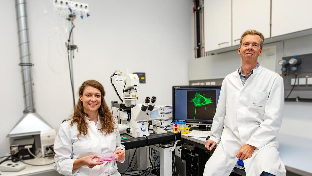 Dr. Josephine Labus und Professor Evgeni Ponimaskin im Labor des MHH-Instituts für Neurophysiologie. Auf dem Monitor ist eine Zelle mit dem pathologischen Tau-Protein zu sehen