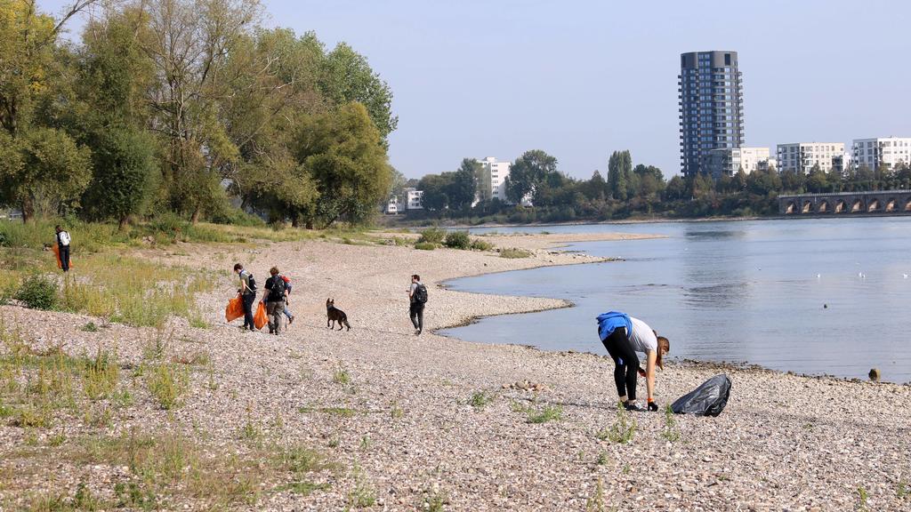 Rhein Clean Up Mülheimer Brücke Köln Deutschland 12.09.2020 *** Rhein Clean Up Mülheimer Bridge Cologne Germany 12 09 2020