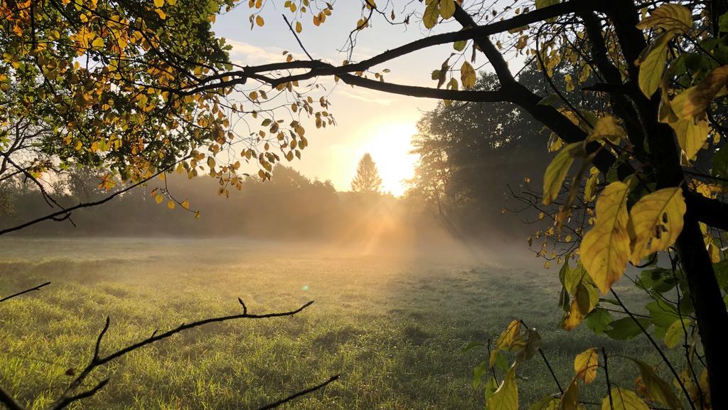 Naturschutzgebiet Heidkoppelmoor