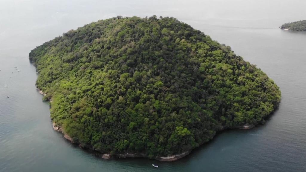 Eine Insel bewachsen mit Bäumen, rings herum das Meer.